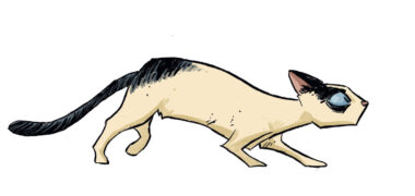 0001 gata barbanegra fonollosa comic